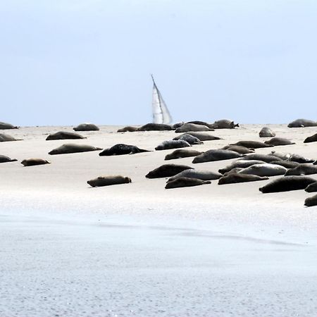 Borkumunterkunft - Woh7 - Im Herzen Der Insel Екстер'єр фото